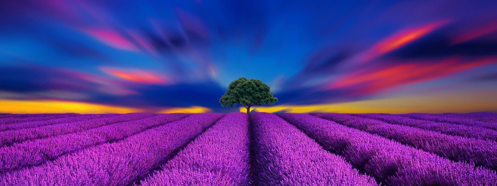 فروش نوار آبیاری در چابهار