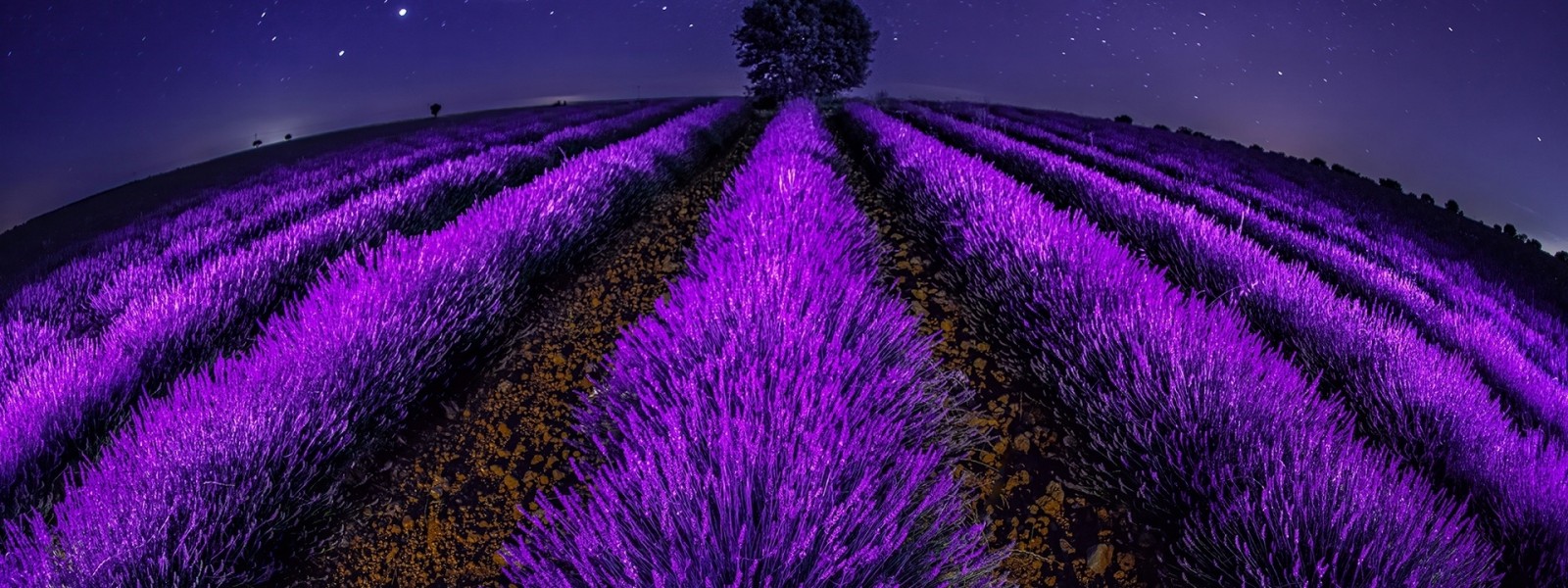 فروش نوار آبیاری در سیرجان