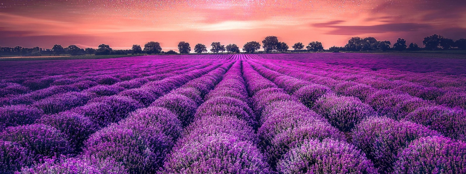 فروش نوار آبیاری در قزوین