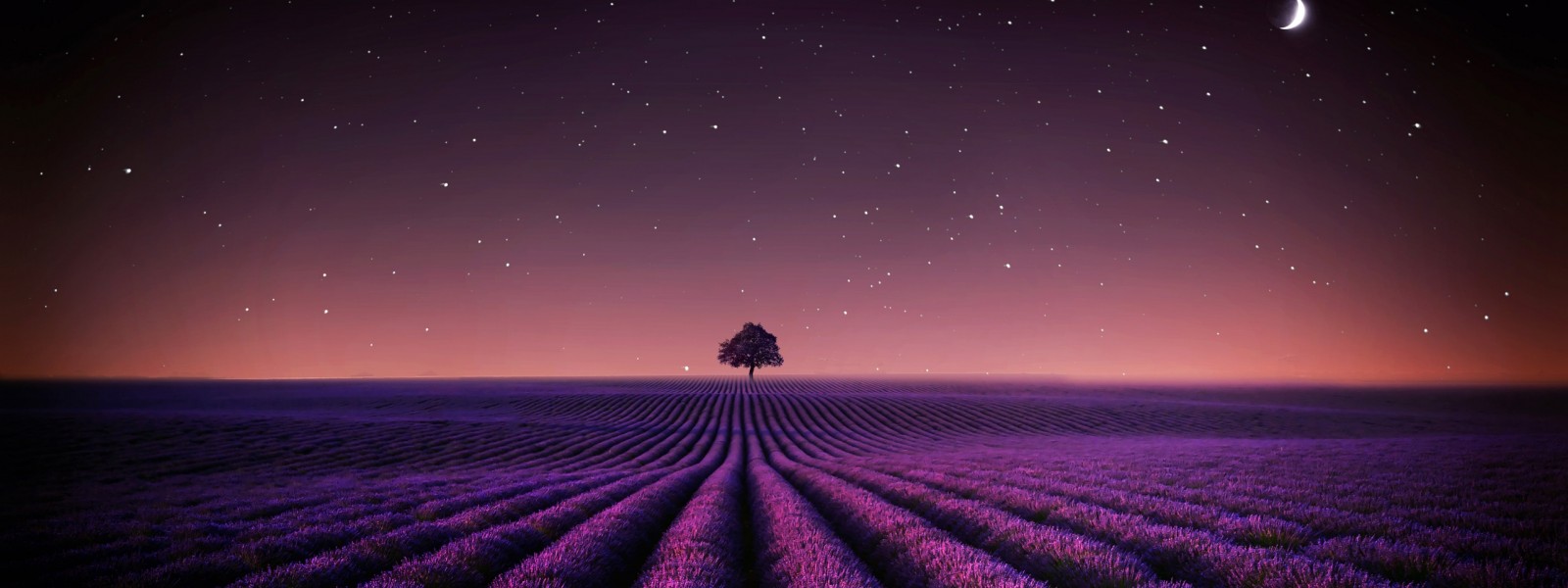 فروش نوار آبیاری در نیشابور