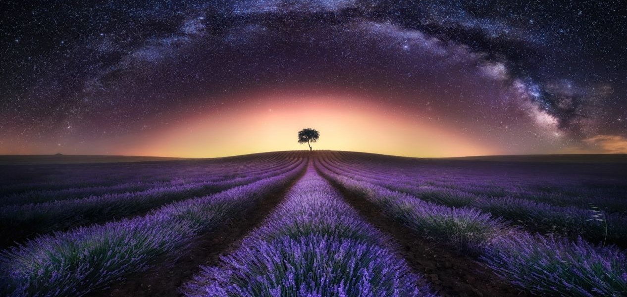 فروش نوار آبیاری در ایلام