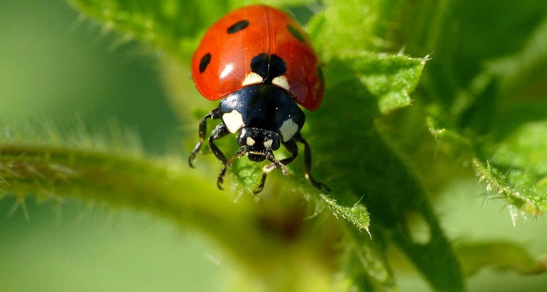فروش لوازم و تجهیزات و اتصالات بارانی در زاهدان و سیستان
