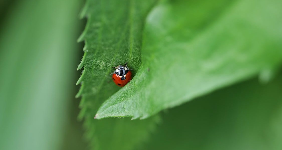 فروش لوازم و تجهیزات و اتصالات بارانی در قزوین