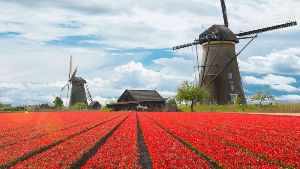 فروش لوله تاشو در گراش