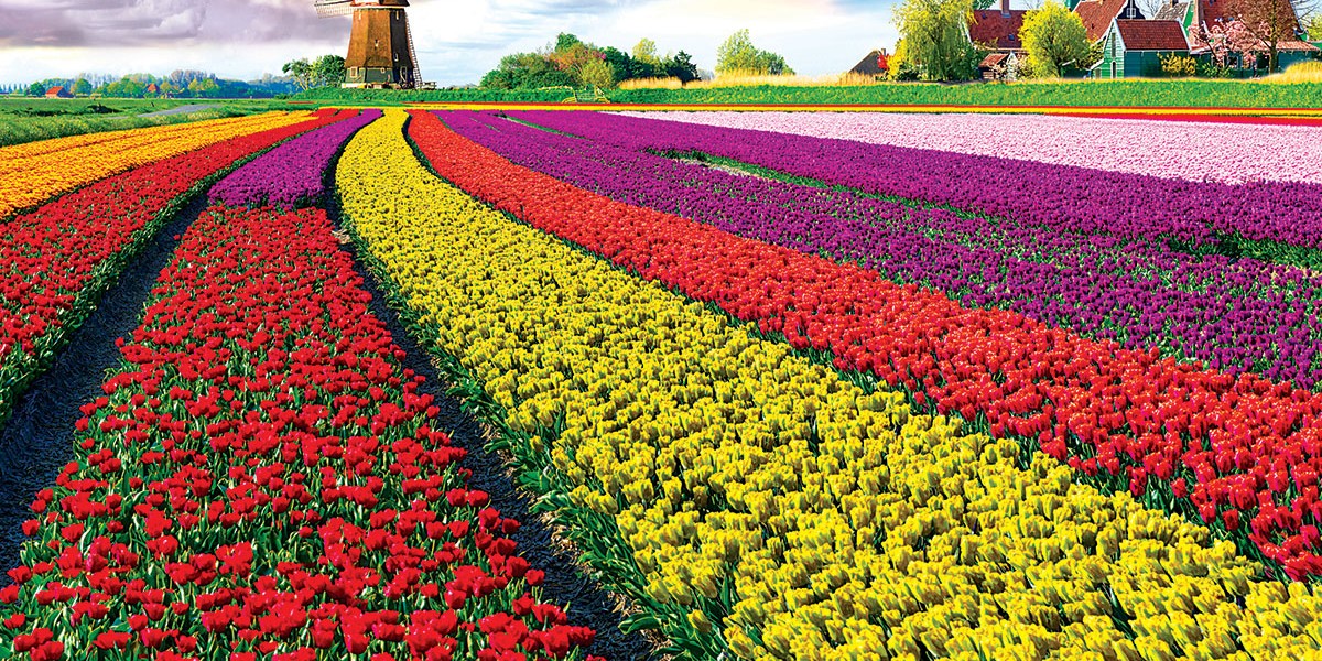 فروش لوله تاشو در مرودشت