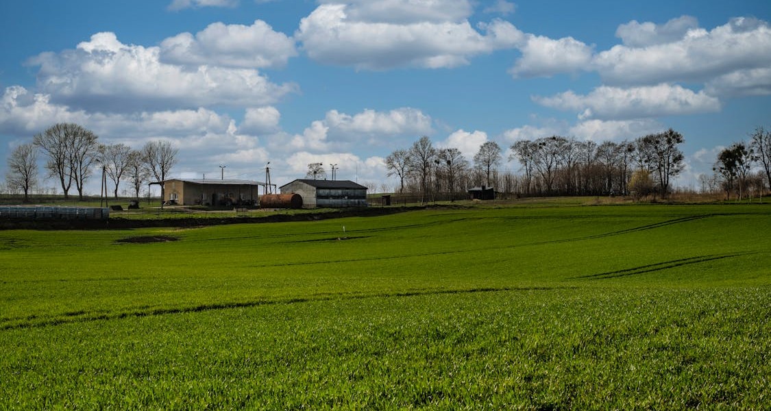 فروش اتصالات الکتروفیوژن در کرج و البرز