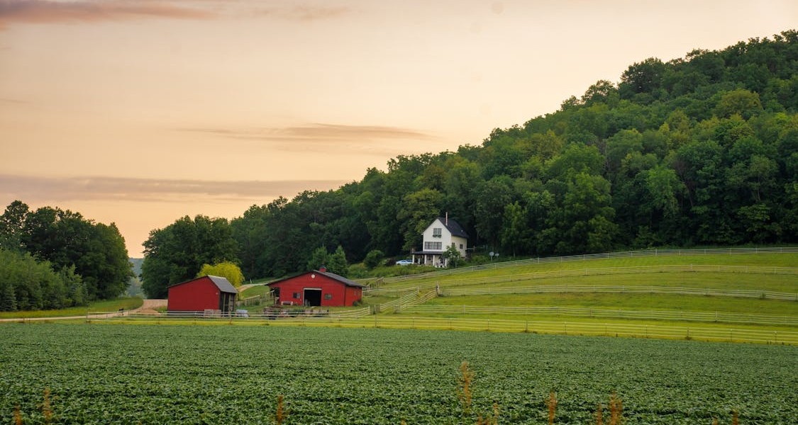 فروش اتصالات الکتروفیوژن در ارومیه و آذربایجان غربی