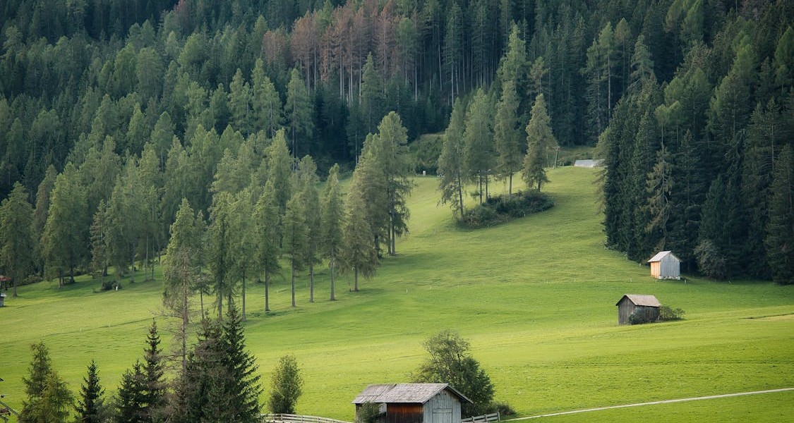 فروش اتصالات الکتروفیوژن در قم