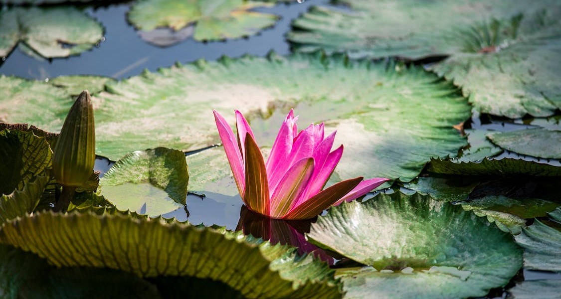 فروش نایلون کشاورزی در کرمانشاه