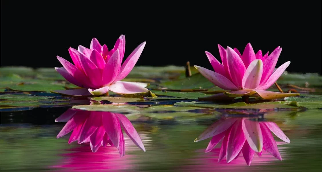 فروش نایلون کشاورزی در جهرم