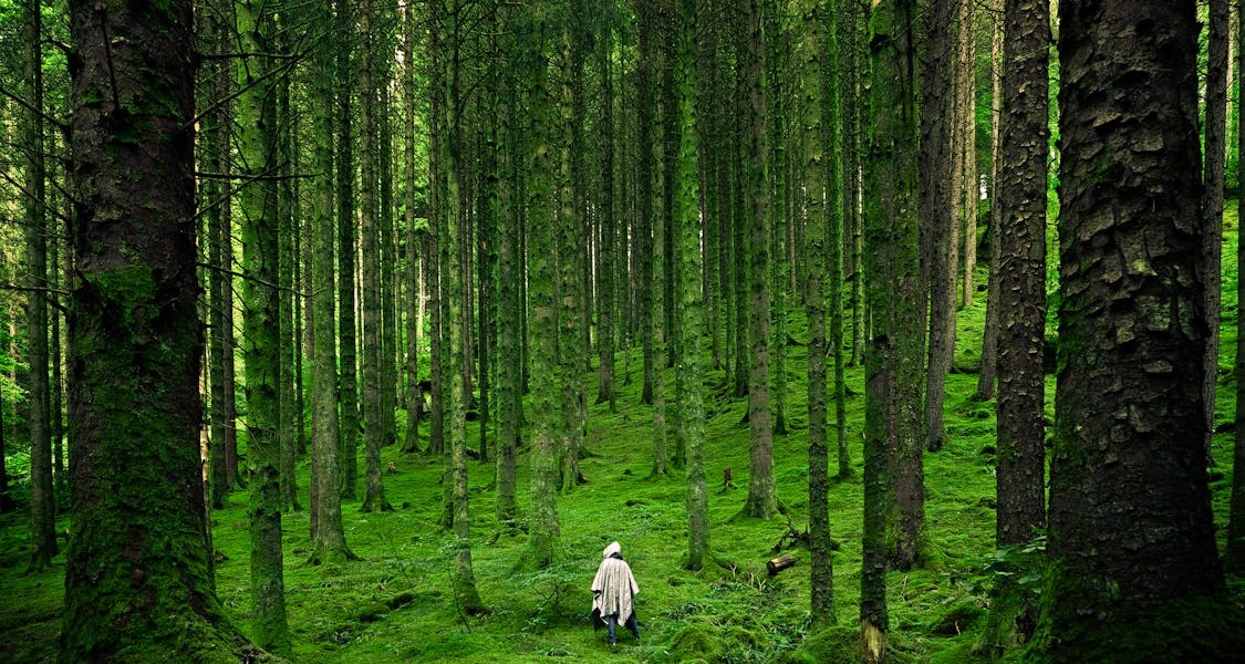 فروش قطره چکان آبیاری قطره ای در سیرجان