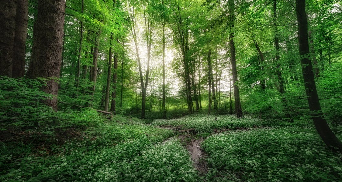 فروش قطره چکان آبیاری قطره ای در چابهار