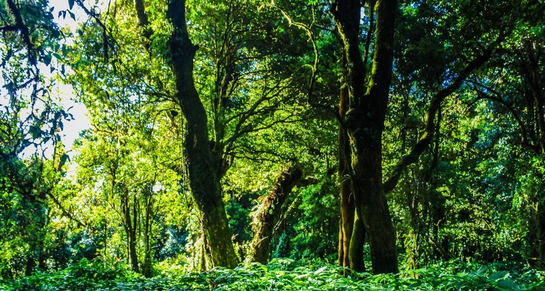 فروش قطره چکان آبیاری قطره ای در تویسرکان