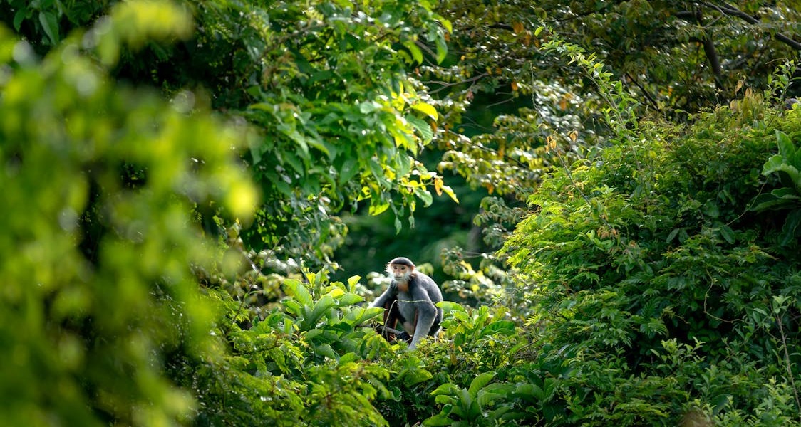 فروش قطره چکان آبیاری قطره ای در قزوین
