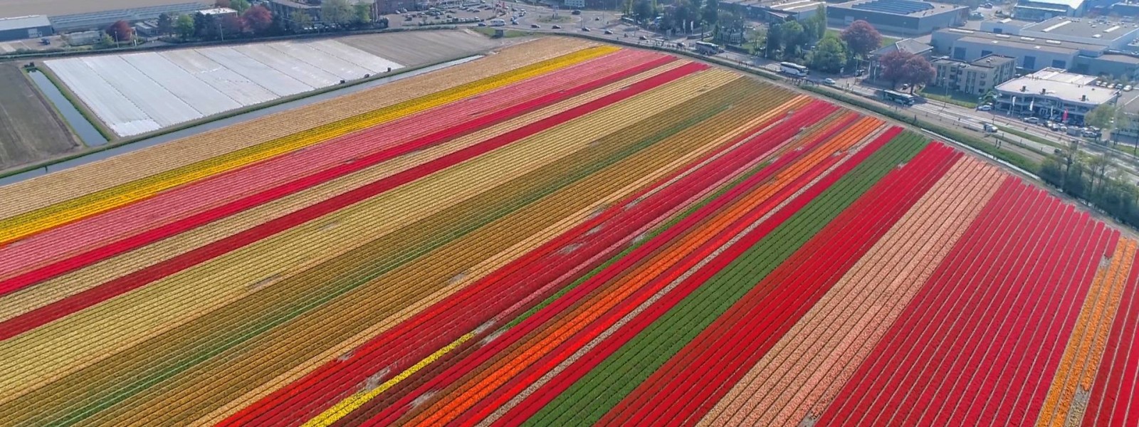 فروش لوله 16 دریپردار (قطره چکان دار) در قزوین