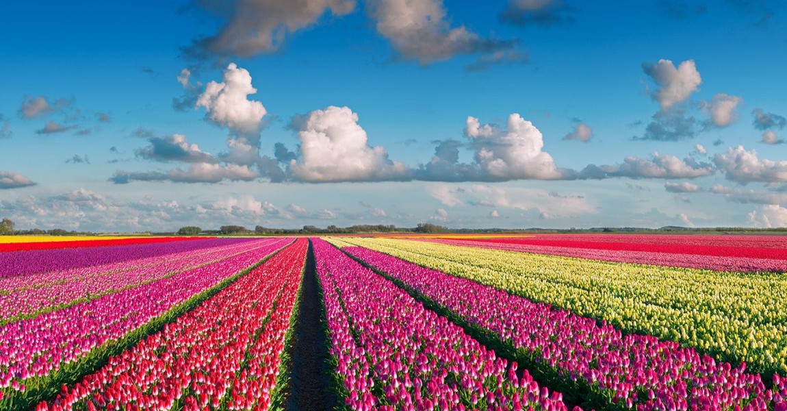 فروش لوله 16 دریپردار (قطره چکان دار) در همدان