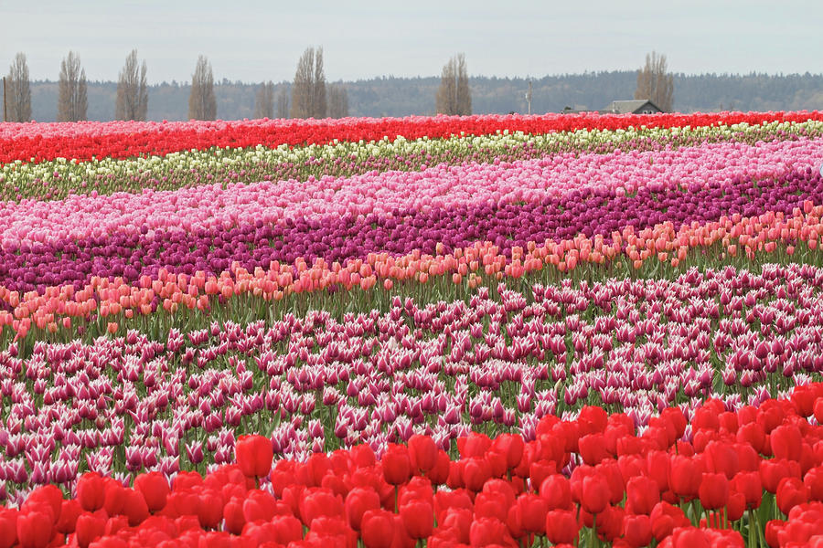 فروش لوله 16 دریپردار (قطره چکان دار) در یزد