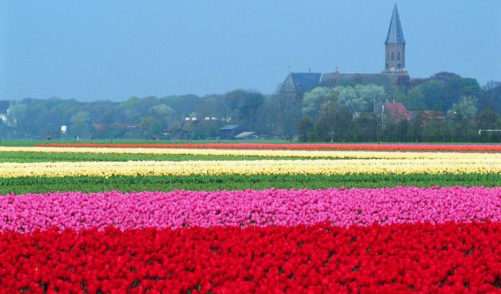 فروش لوله 16 دریپردار (قطره چکان دار) در قم