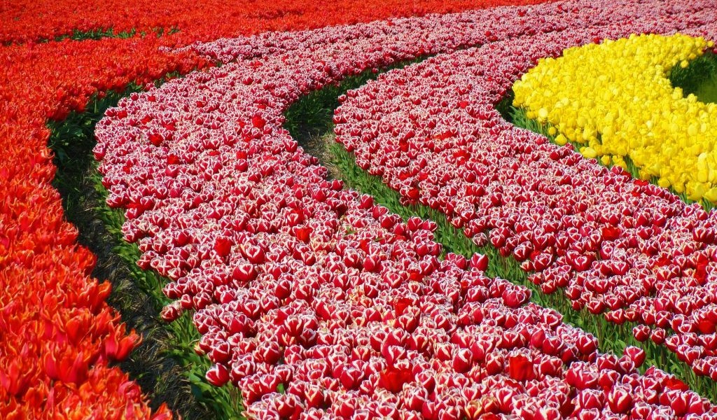 فروش لوله 16 دریپردار (قطره چکان دار) در ساوه