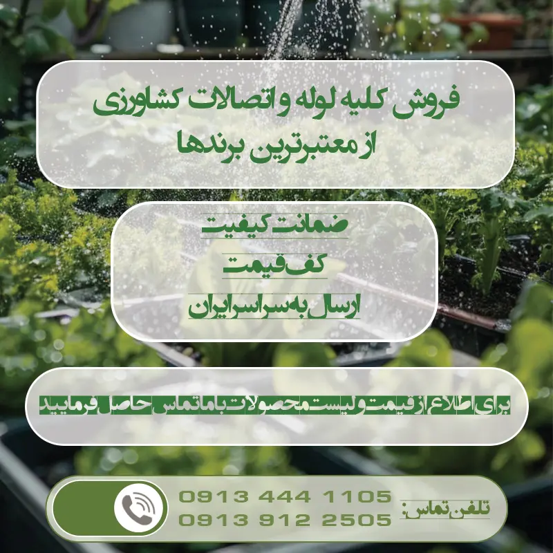نوار تیپ سیب زمینی در مشهد خراسان رضوی
