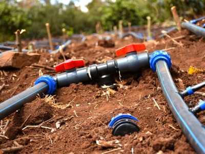 سیستم آبیاری قطره ای