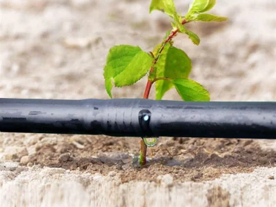 آبیاری قطره ای درختان