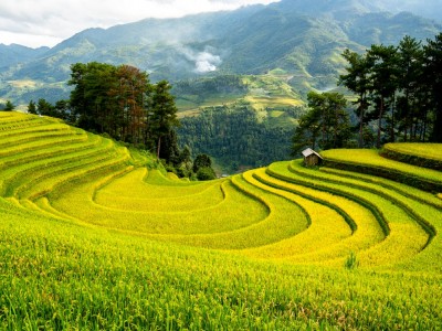 فروش لوله نخدار (نخ دار) در گرگان و گلستان