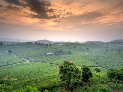 فروش لوله نخدار (نخ دار) در تهران