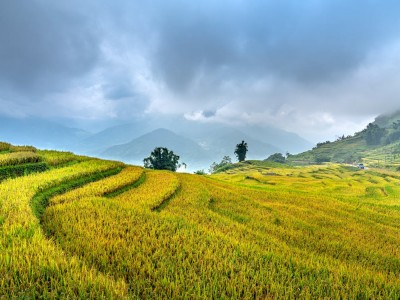 فروش لوله نخدار (نخ دار) در داراب