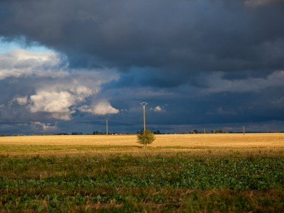 فروش لوله نخدار (نخ دار) در دهدشت