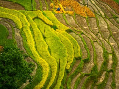 فروش وسایل و تجهیزات و لوازم آبیاری قطره ای در اصفهان