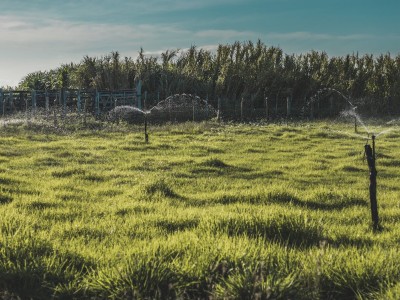 فروش وسایل و تجهیزات و لوازم آبیاری قطره ای در مشهد