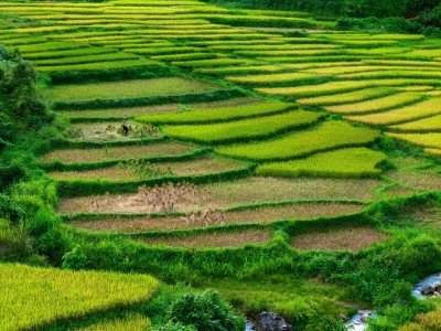 فروش وسایل و تجهیزات و لوازم آبیاری قطره ای در افغانستان