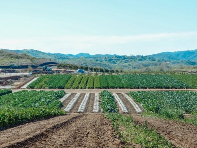 فروش وسایل و تجهیزات و لوازم آبیاری قطره ای در پاکستان