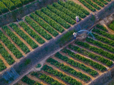 فروش وسایل و تجهیزات و لوازم آبیاری قطره ای در خرم آباد و لرستان