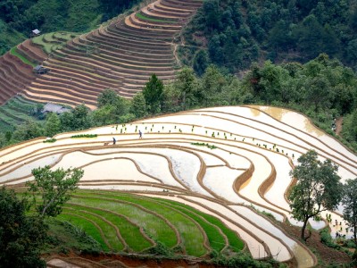 فروش وسایل و تجهیزات و لوازم آبیاری قطره ای در قزوین