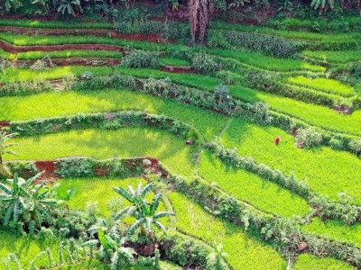 فروش نوار آبیاری در اصفهان