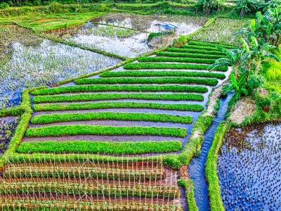 فروش نوار آبیاری در کرمان