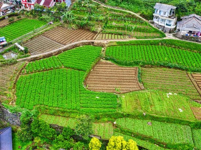 فروش نوار آبیاری در کهورستان