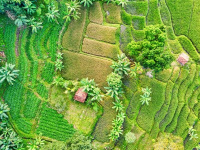 فروش نوار آبیاری در گچساران