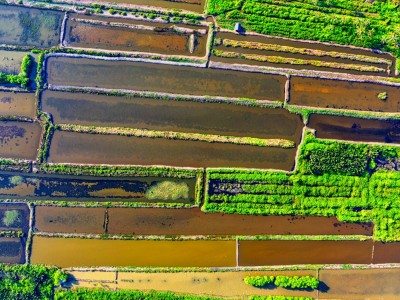 فروش نوار آبیاری در شاهرود