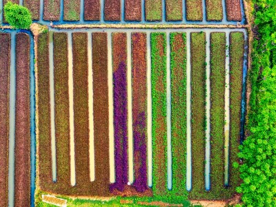 فروش نوار آبیاری در بهبهان