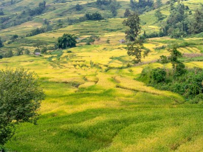 فروش نوار آبیاری در دهدشت