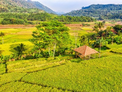 فروش نوار آبیاری در جیرفت