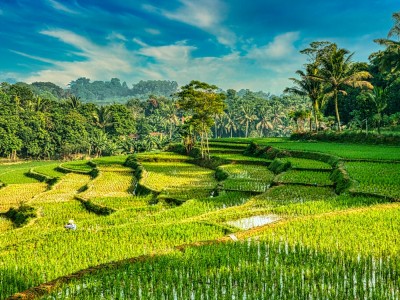 فروش نوار آبیاری در هشتبندی