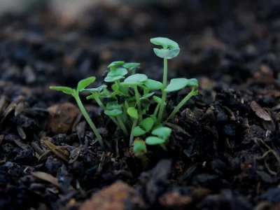 فروش لوله پلی اتیلن آبرسانی در اهواز و خوزستان