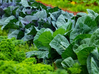 فروش لوله پلی اتیلن آبرسانی در شهرکرد