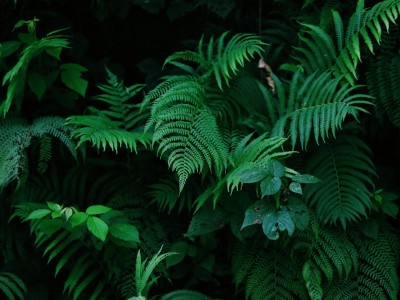 فروش لوله پلی اتیلن آبرسانی در جلگه