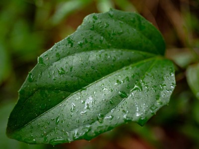 فروش لوله پلی اتیلن آبرسانی در بندرعباس و هرمزگان