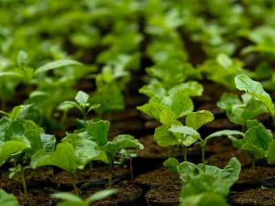 فروش لوله پلی اتیلن آبرسانی در سمنان